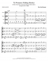 Falling Slowly (Te Prometo) - Hansard & Irglova